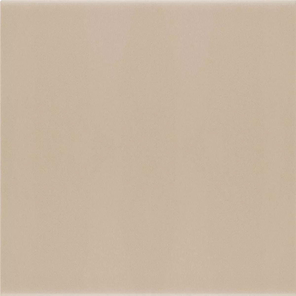 Carrelage Mural Belluno Pastell Taupe 12,4x12,4cm Carrelage Mural Belluno Pastell Taupe 12,4x12,4cm