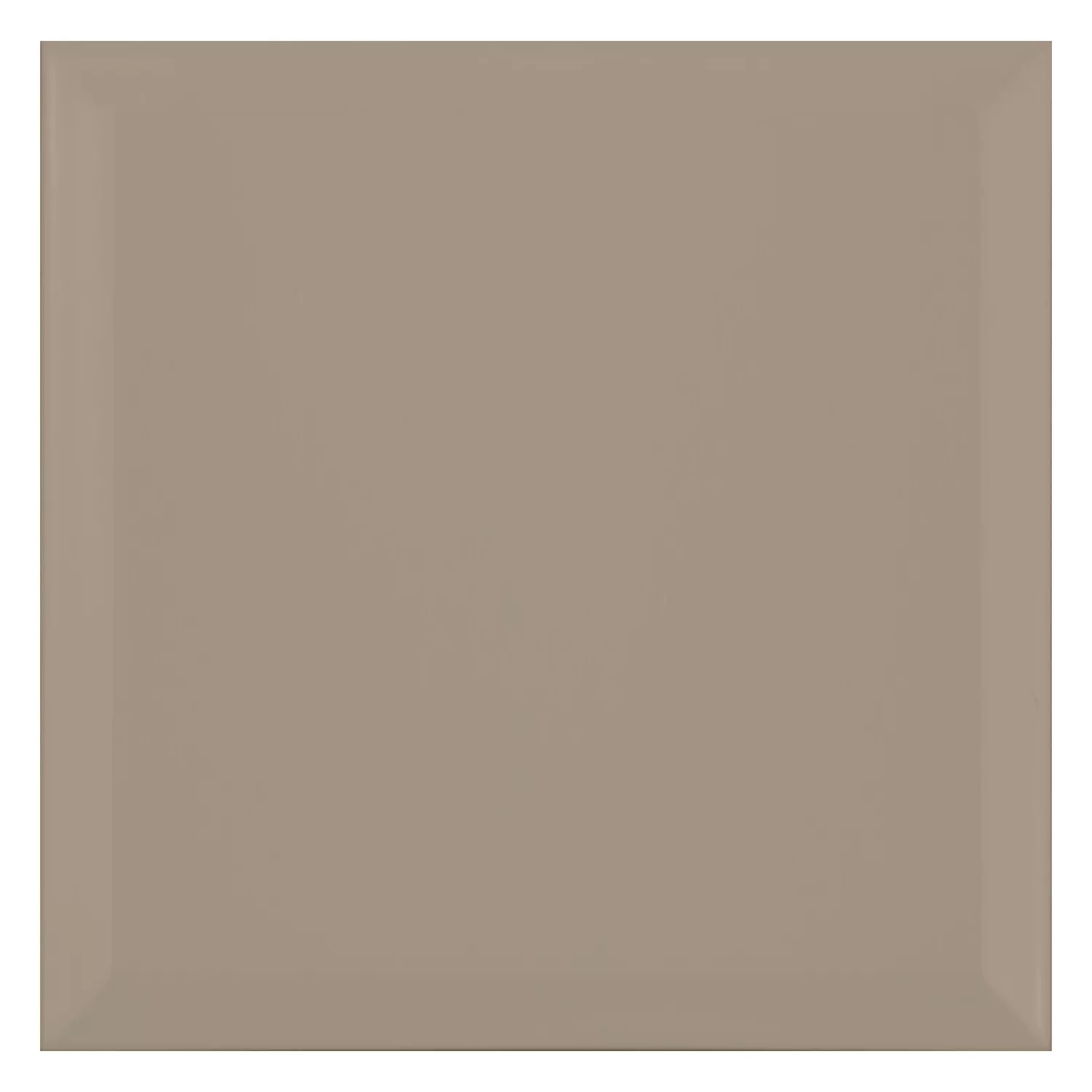 Carrelage métro Brun Mat 20x20 cm Avec Facette Freetown Mink
