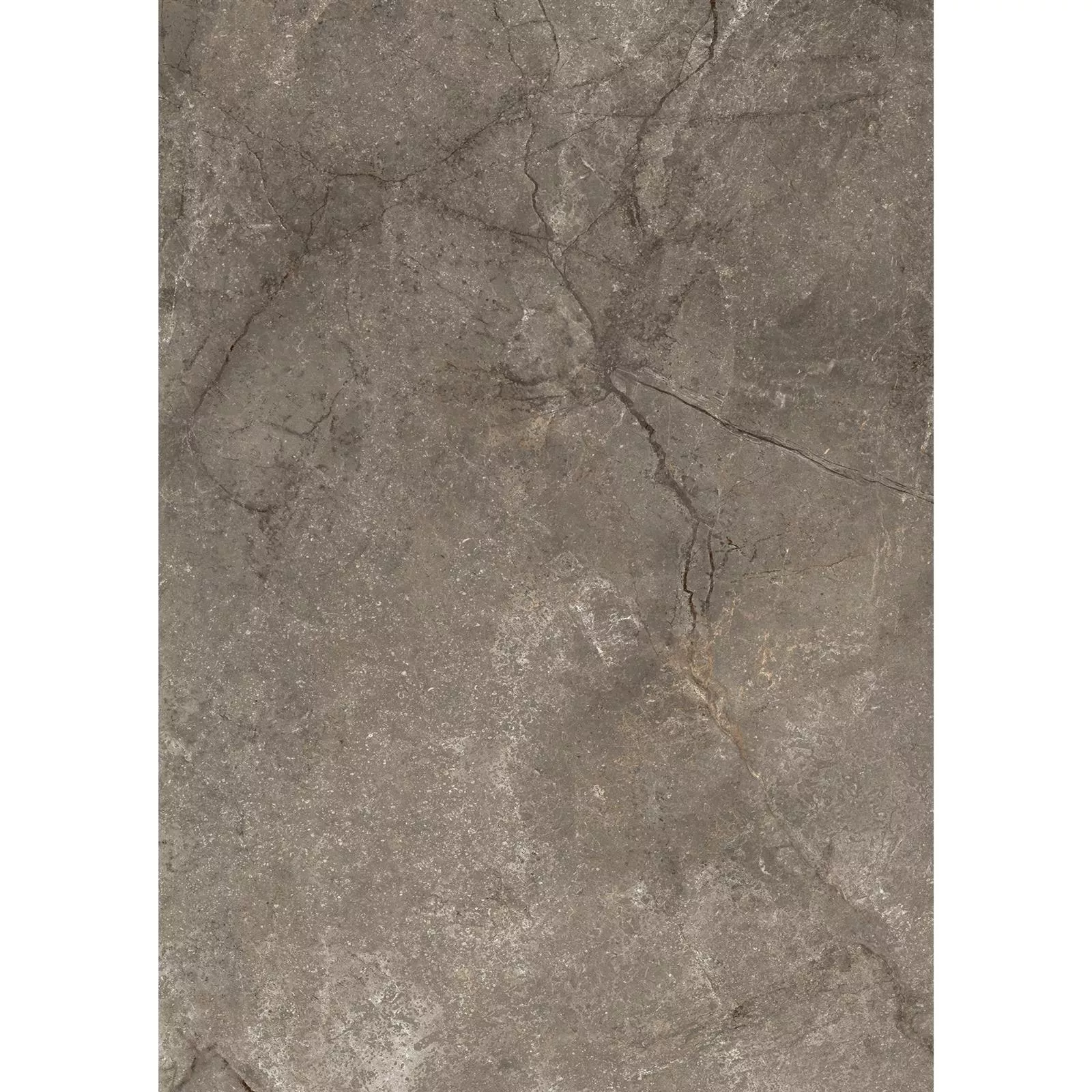 Échantillon Carrelage Sol Et Mur Noiron Mat Poli Brillant Mocca 60x120cm