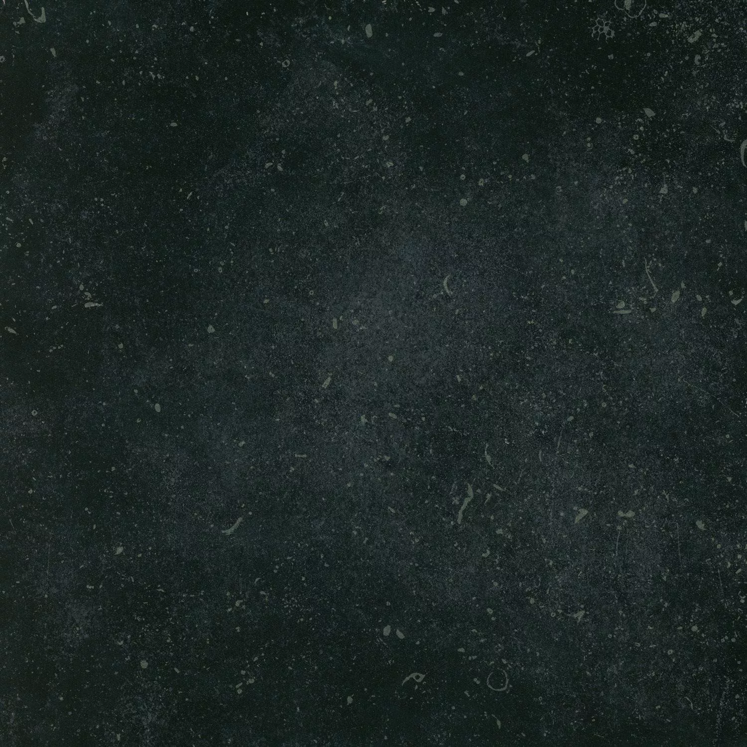 Échantillon Carrelage Sol Et Mur Wilhelm Bluestone Calcaire Optique Noir