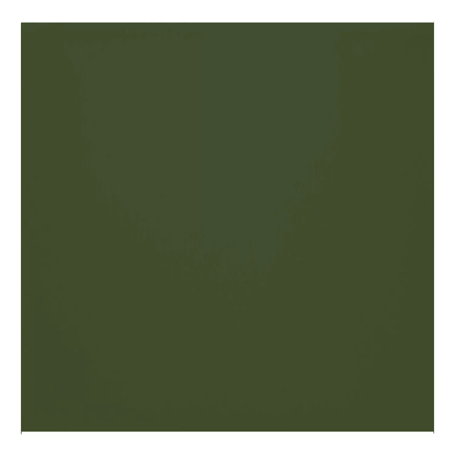 Carrelage métro Vert Mat 20x20 cm Sans Facette Ashville Botella