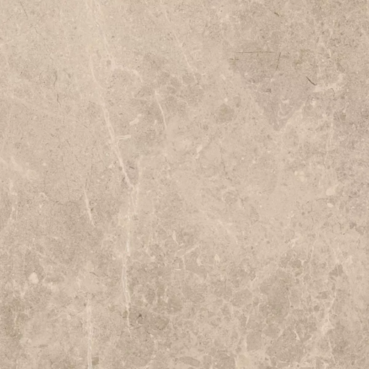 Dalles De Terrasse Grès Cérame Pleine Masse Arizona Beige 60x60x2 cm Dalles De Terrasse Grès Cérame Pleine Masse Arizona Beige 60x60x2 cm