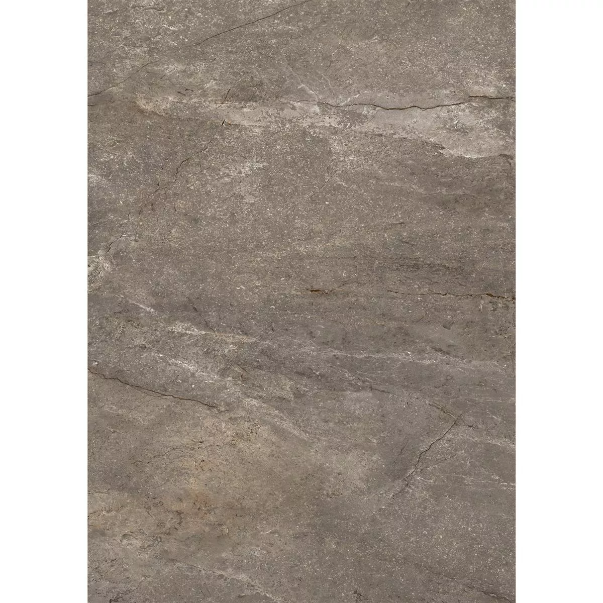 Carrelage Sol Et Mur Pangea Marbre Optique Mat Mokka 60x120cm