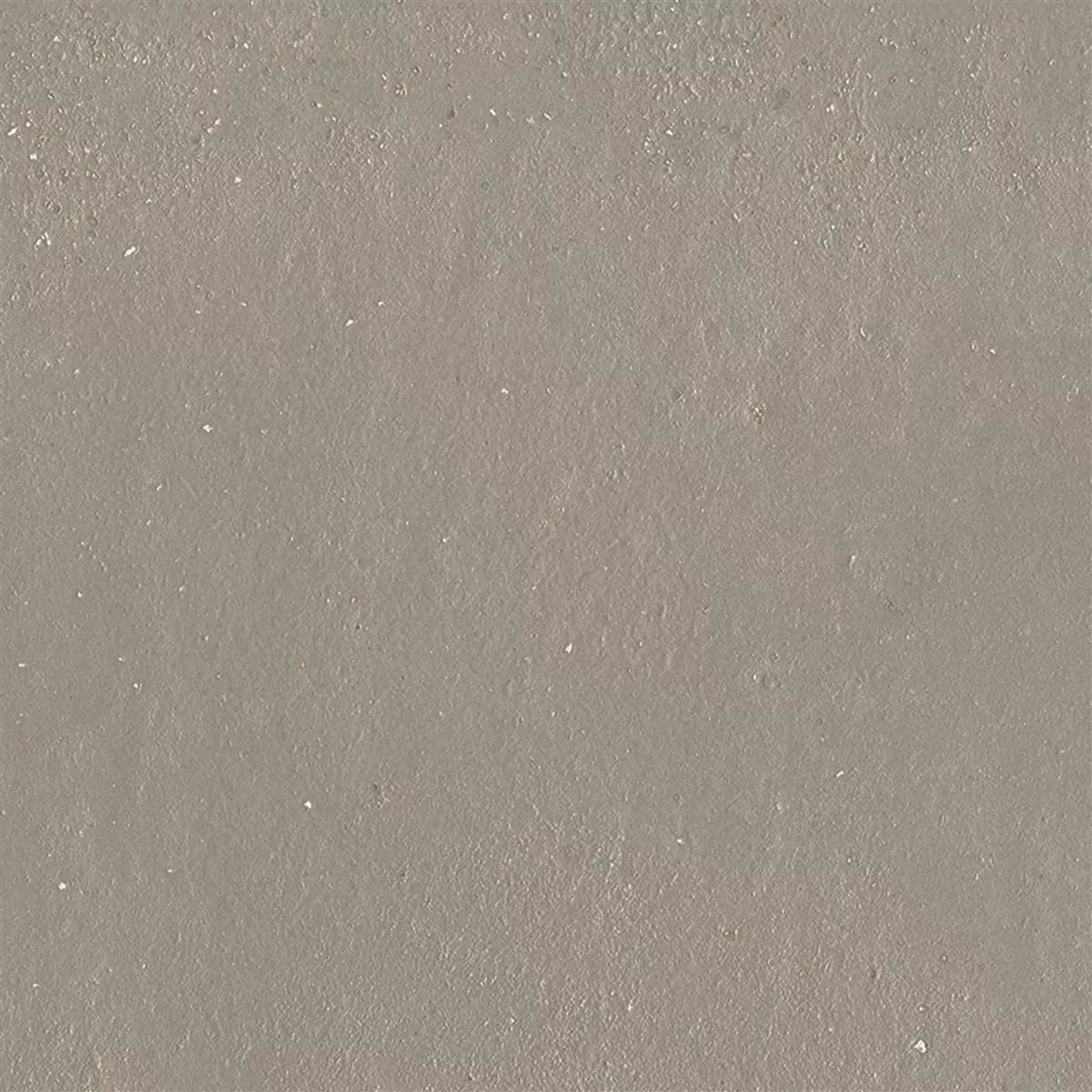 Carrelage Sol Et Mur Malibu Optique En Béton Taupe 60x60cm