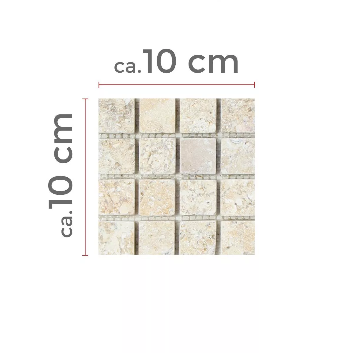 Échantillon Mosaïque Carrelage Calcaire Garbagna Beige 23