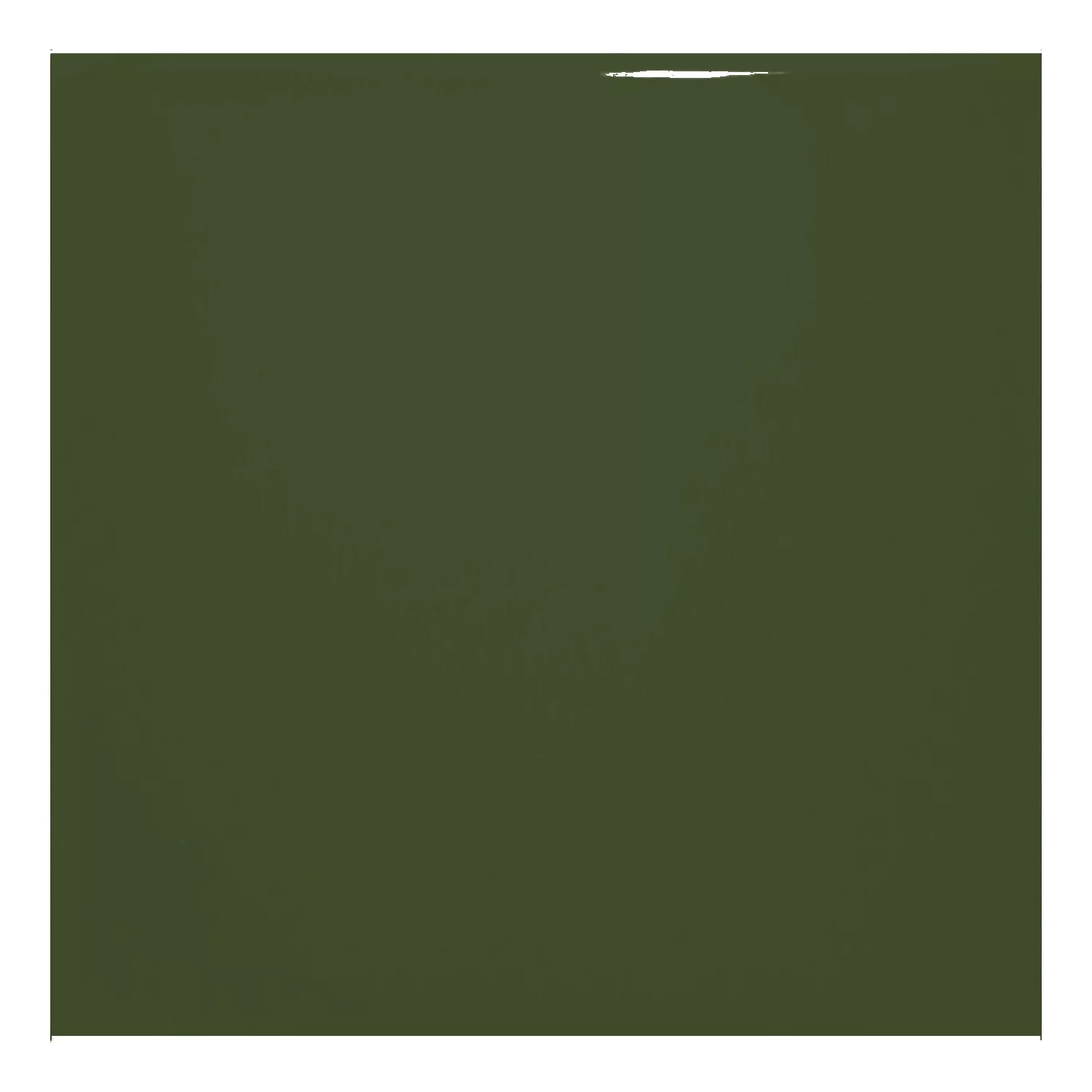 Carrelage métro Vert Brillant 20x20 cm Sans Facette Ashville Botella