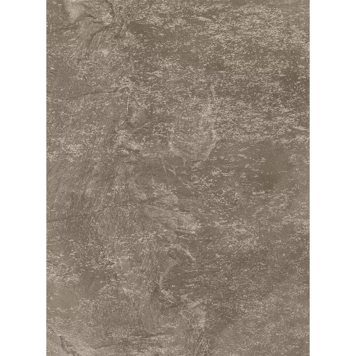 Carrelage Sol Et Mur Hemingway Lappato Brun 60x120cm Carrelage Sol Et Mur Hemingway Lappato Brun 60x120cm