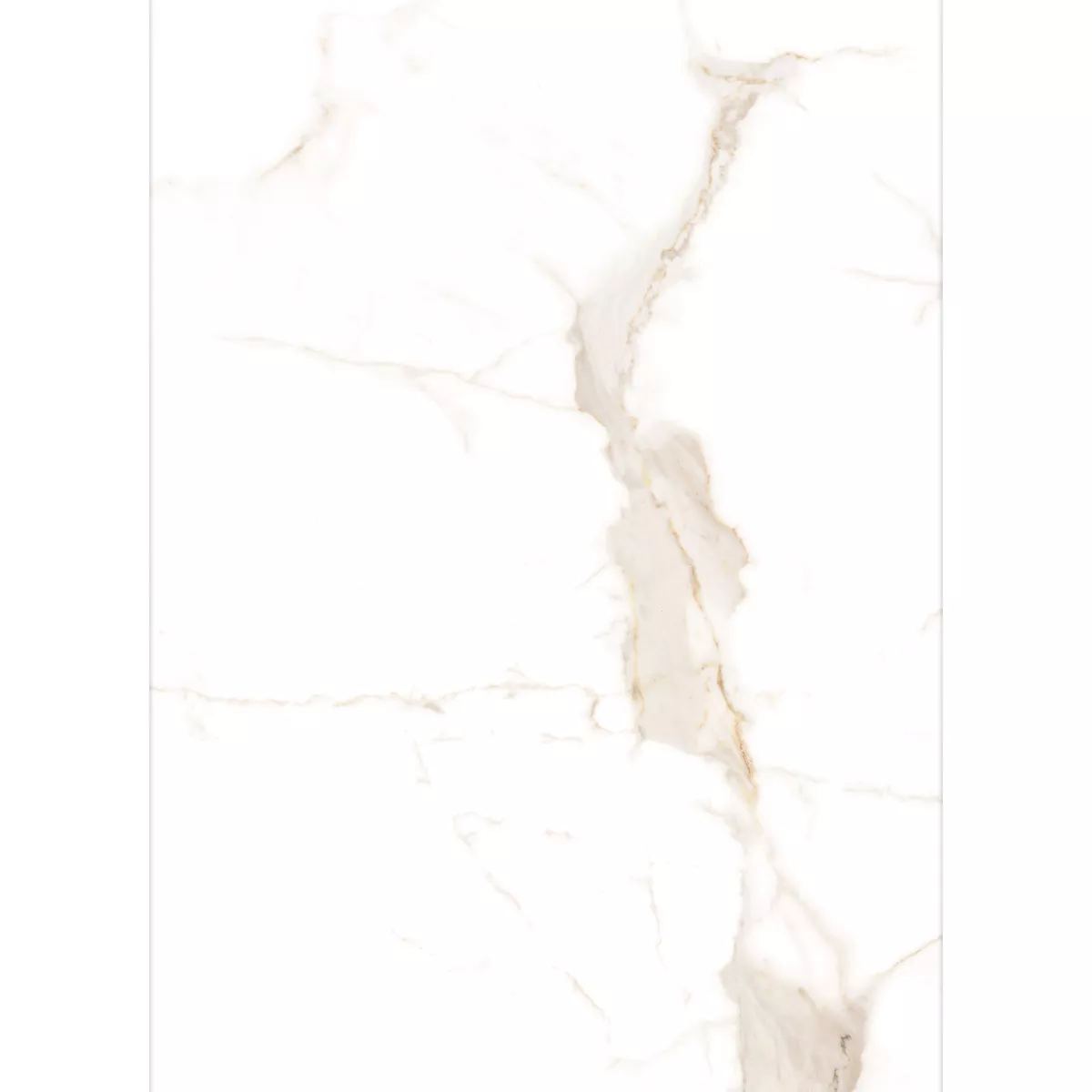 Epic Blanc Or Mat 60x120 cm