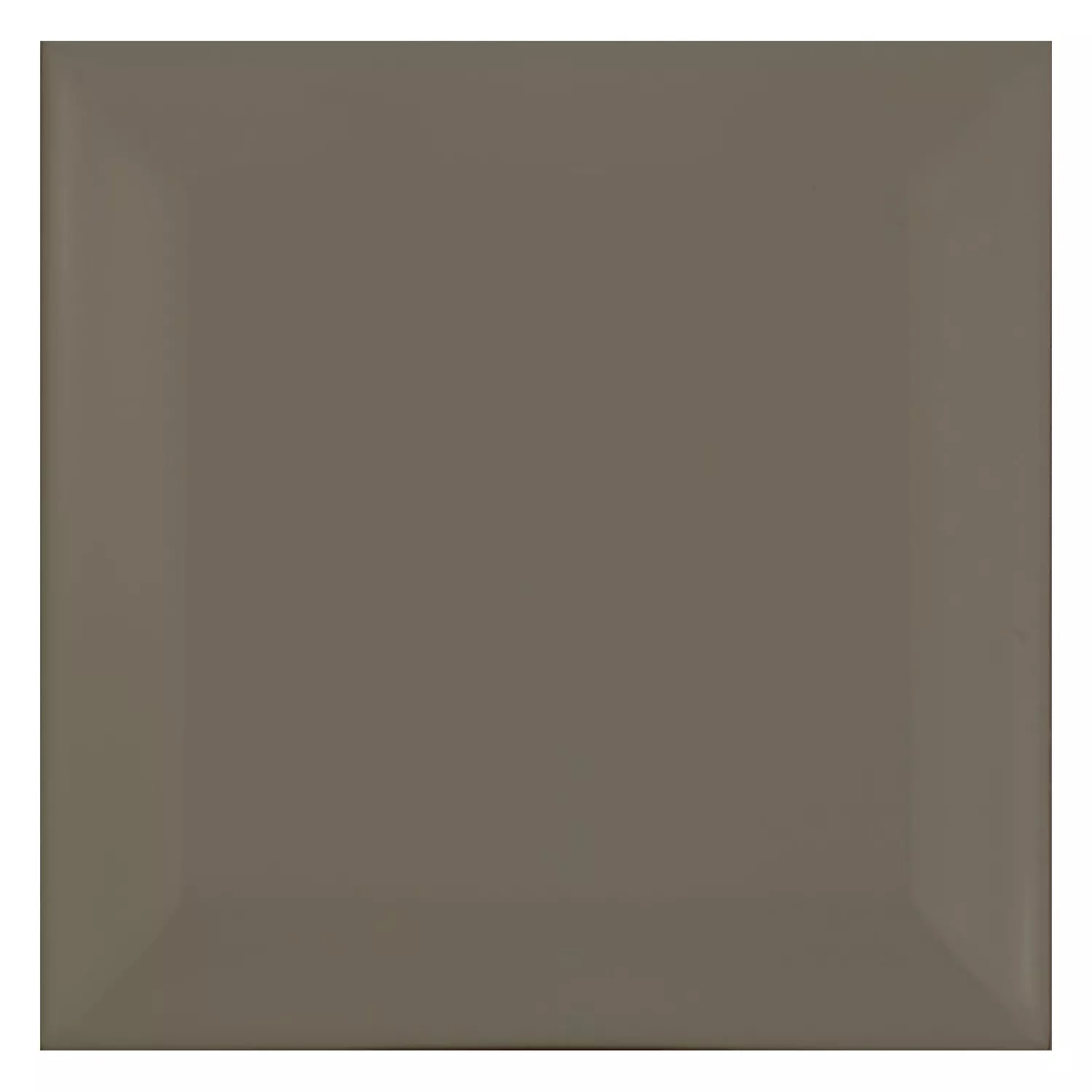 Carrelage métro Gris Mat 10x10 cm Avec Facette Catarina Dark Grey