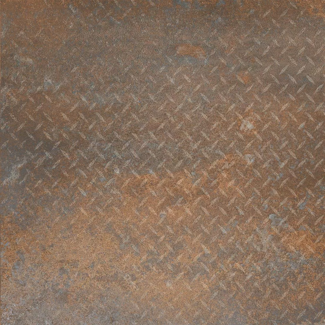 Feuille de lentilles décoratives