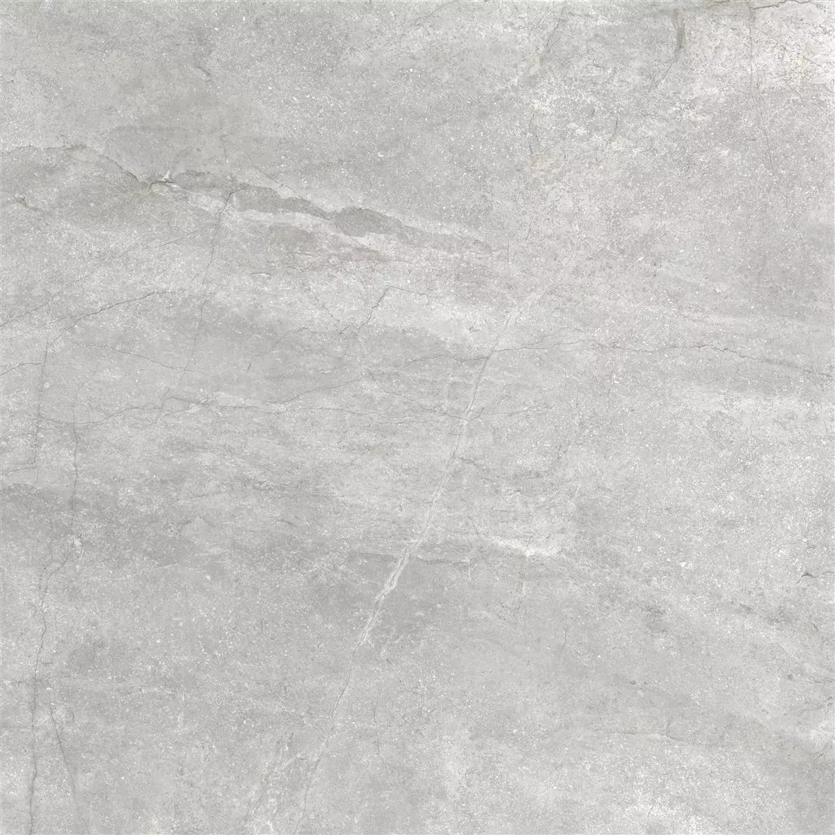 Carrelage Sol Et Mur Pangea Marbre Optique Mat Argent 60x60cm