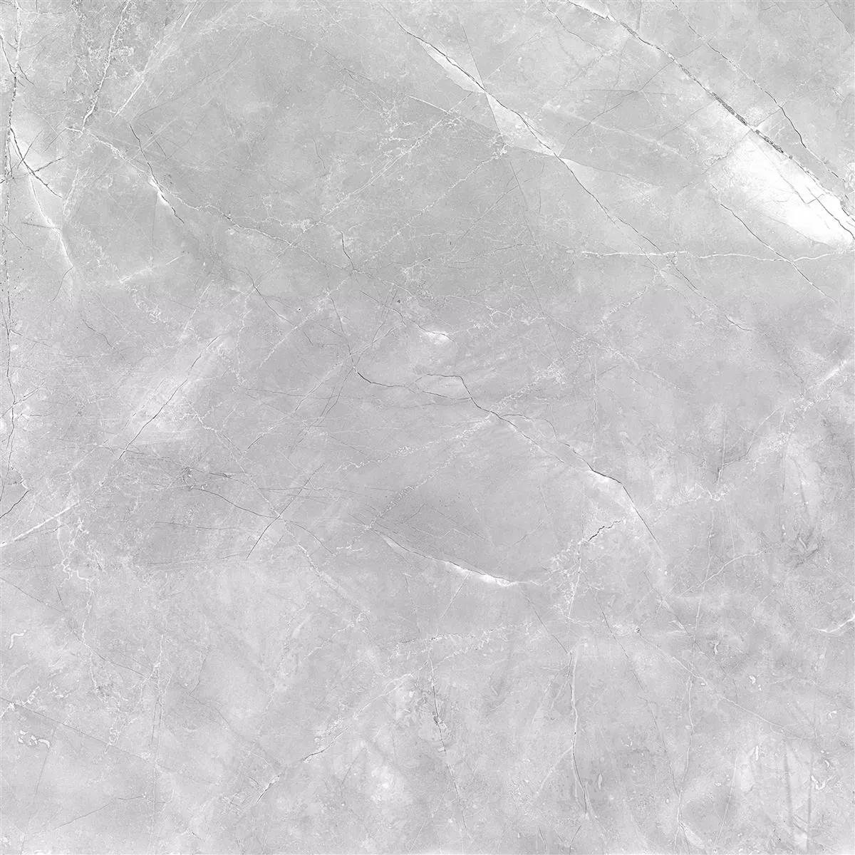 Angola Poli Brillant Gris 60x60 cm