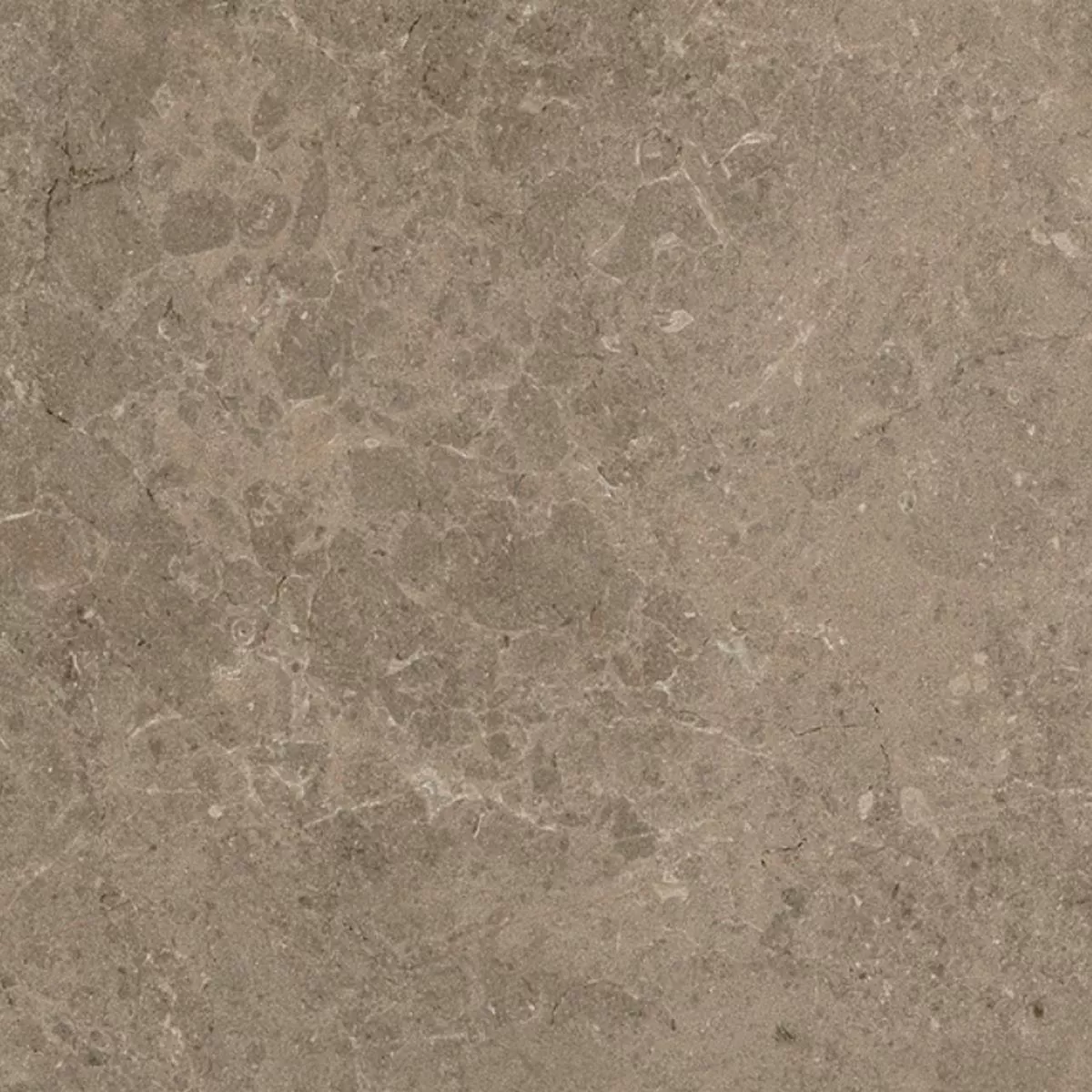 Dalles De Terrasse Grès Cérame Pleine Masse Arizona Taupe 60x60x2 cm Dalles De Terrasse Grès Cérame Pleine Masse Arizona Taupe 60x60x2 cm