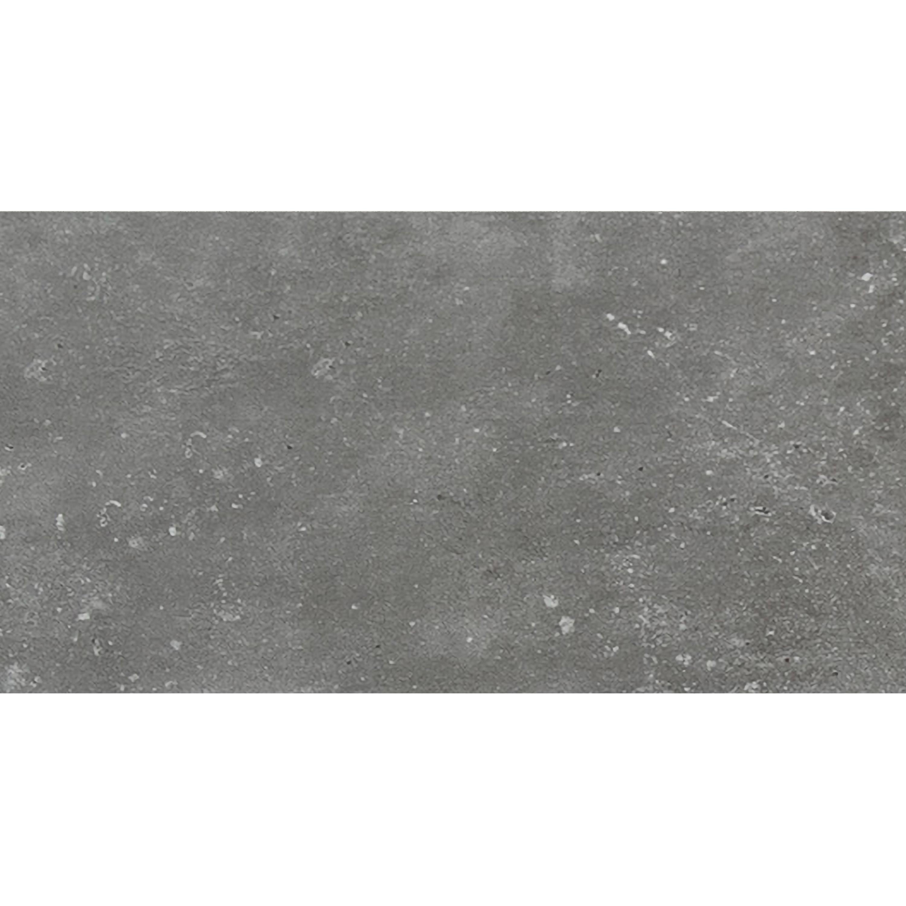 Échantillon Carrelage Sol Et Mur Concept Rectifié R10/B Anthracite 30x60x0,7cm