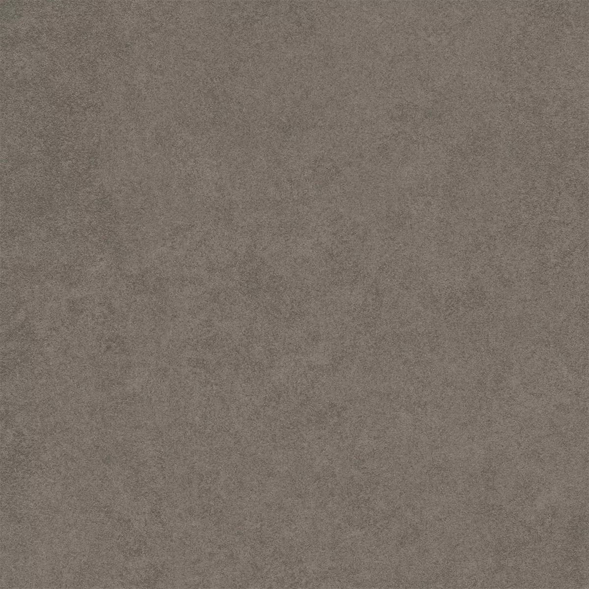 Kolossal Gris Foncé 60x60 cm