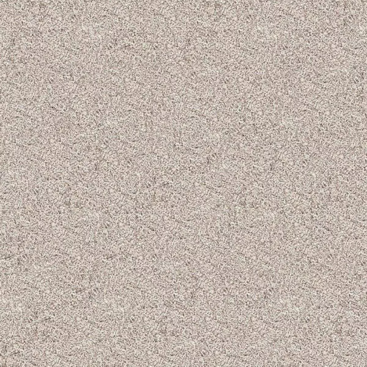 Gris Beige