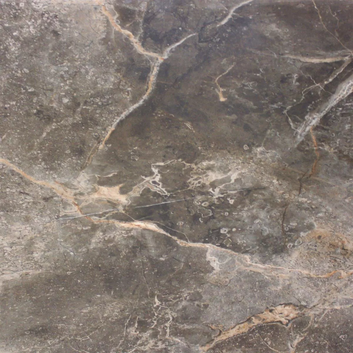 Carrelage Sol Et Mur Marbre Optique Himalaya Brun Poli Brillant 60x60cm Carrelage Sol Et Mur Marbre Optique Himalaya Brun Poli Brillant 60x60cm