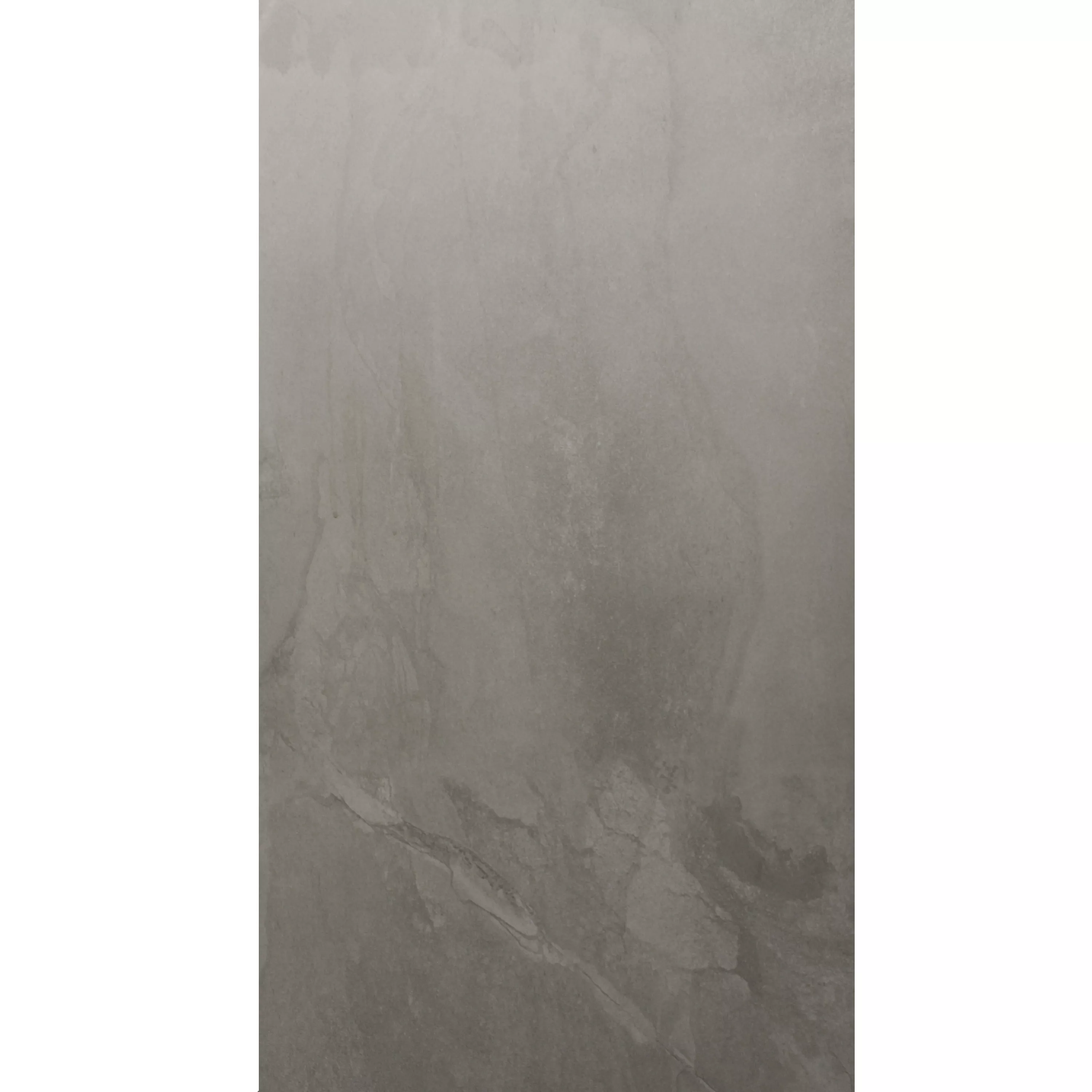 Échantillon Carrelage Sol Et Mur Moneta Mat Greige 60x120cm