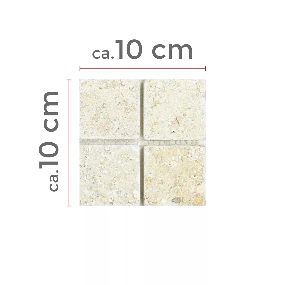 Échantillon Mosaïque Carrelage Calcaire Garbagna Beige 48