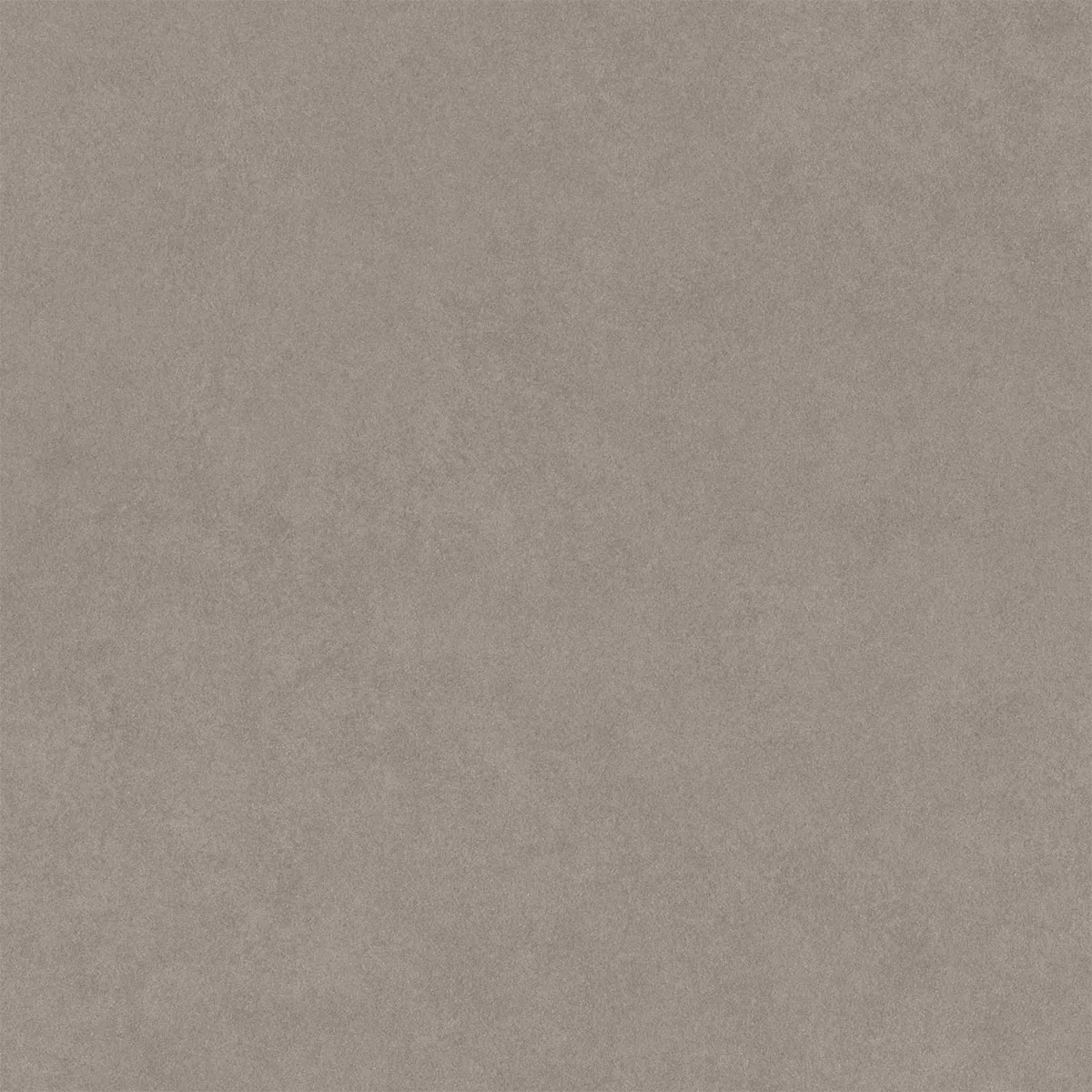 Kolossal Gris Moyen 60x60 cm