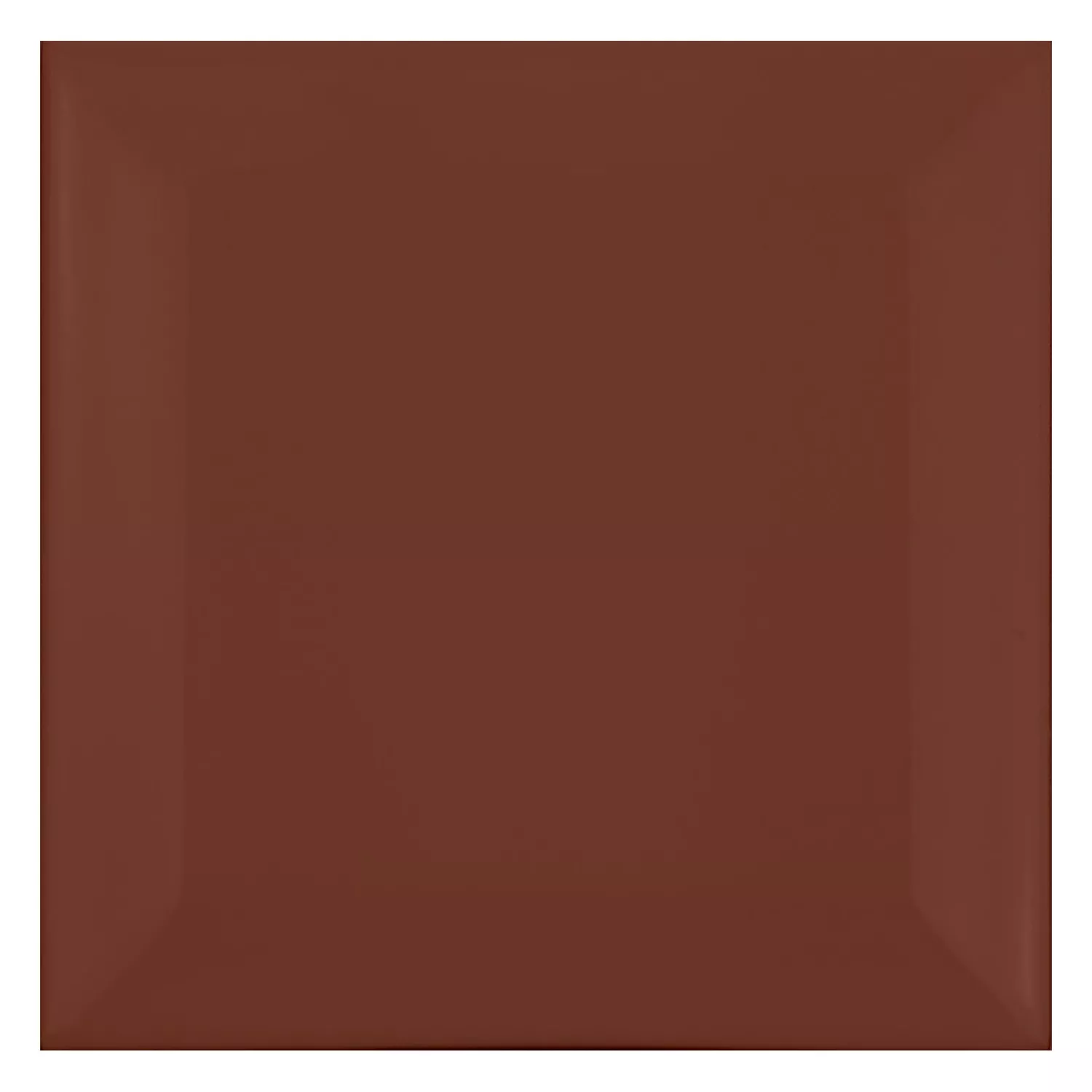 Carrelage métro Brun Mat 10x10 cm Avec Facette Catarina Marron