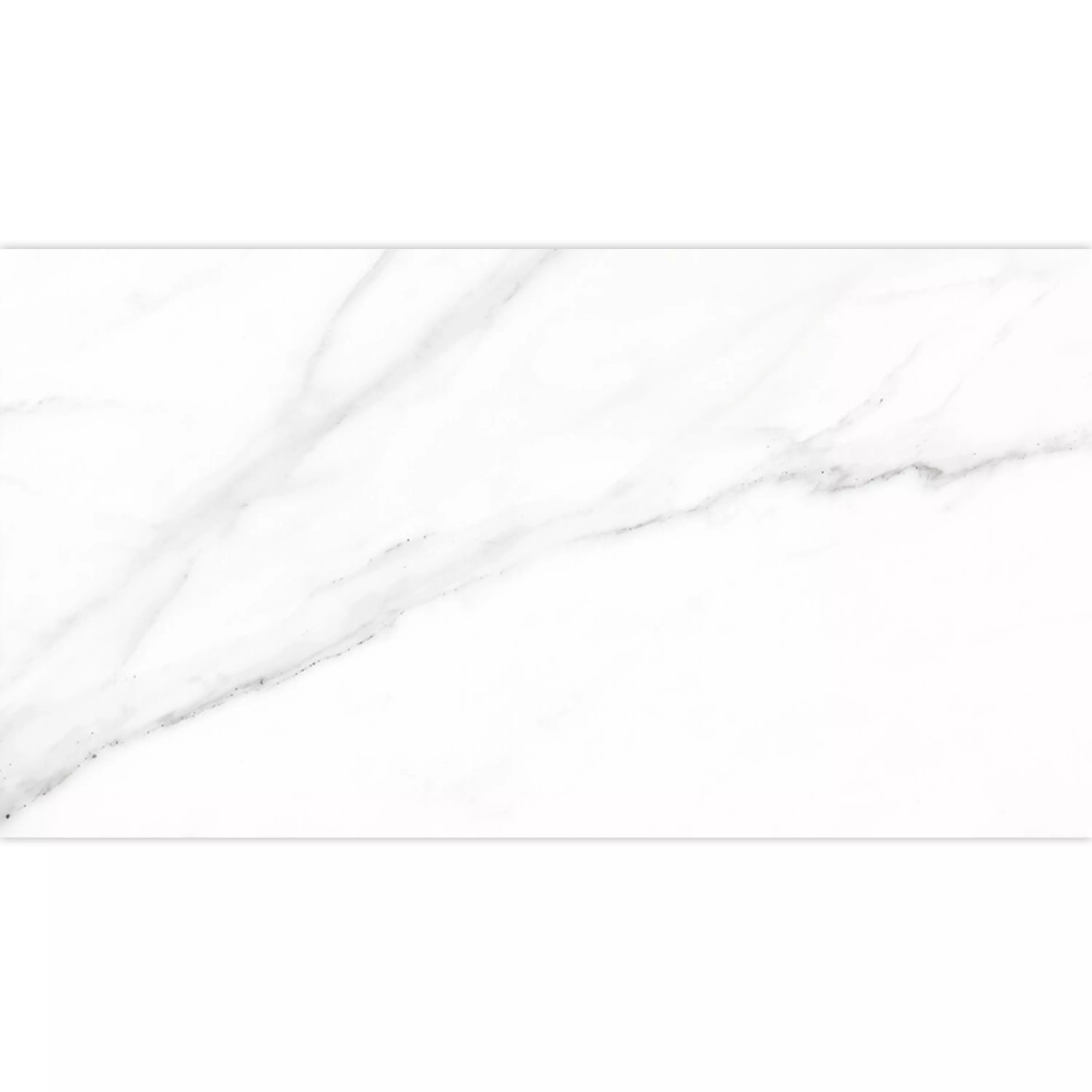 Échantillon Carrelage Sol Et Mur Arcadia Marbre Optique Mat Blanc 30x60cm