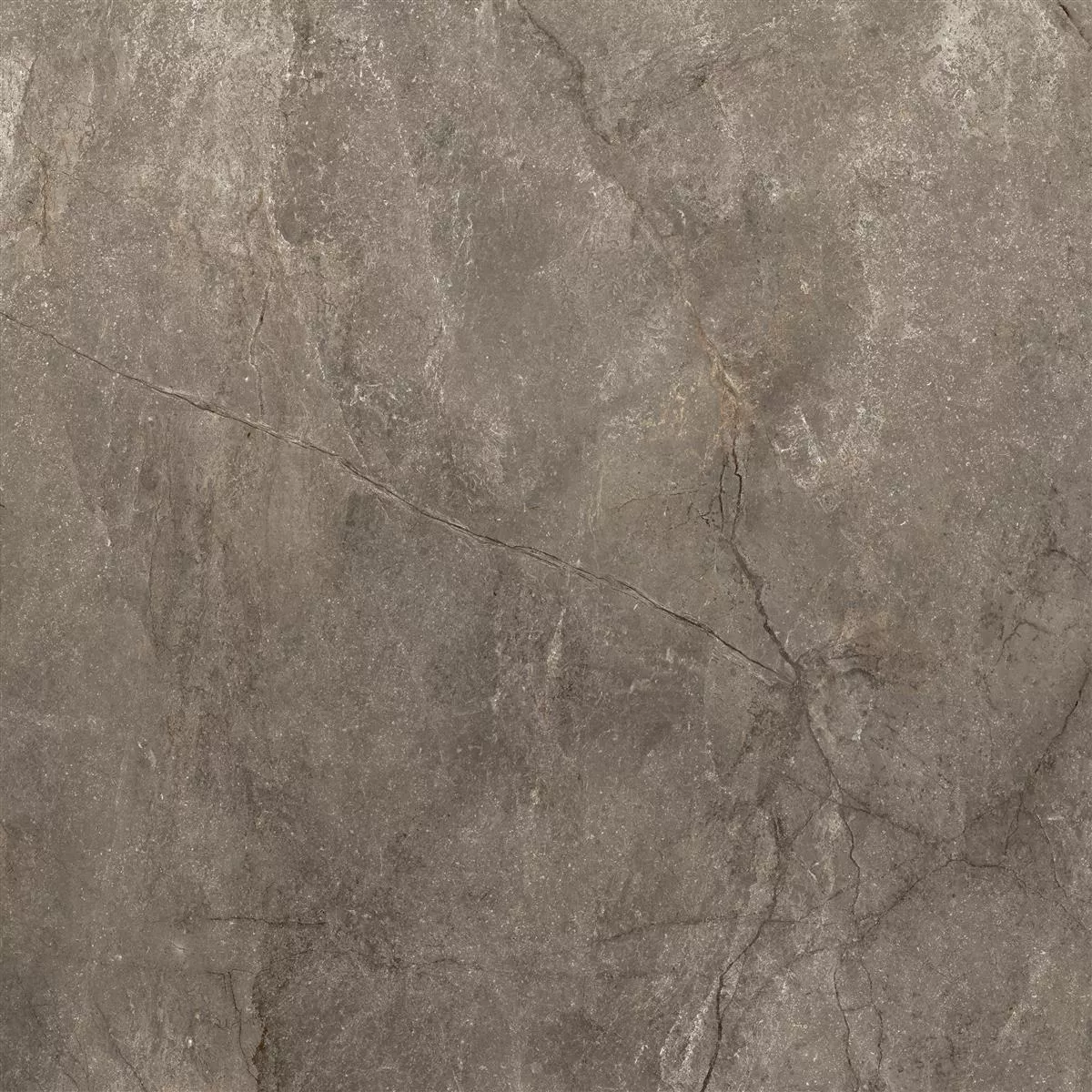 Carrelage Sol Et Mur Pangea Marbre Optique Poli Brillant Mokka 120x120cm