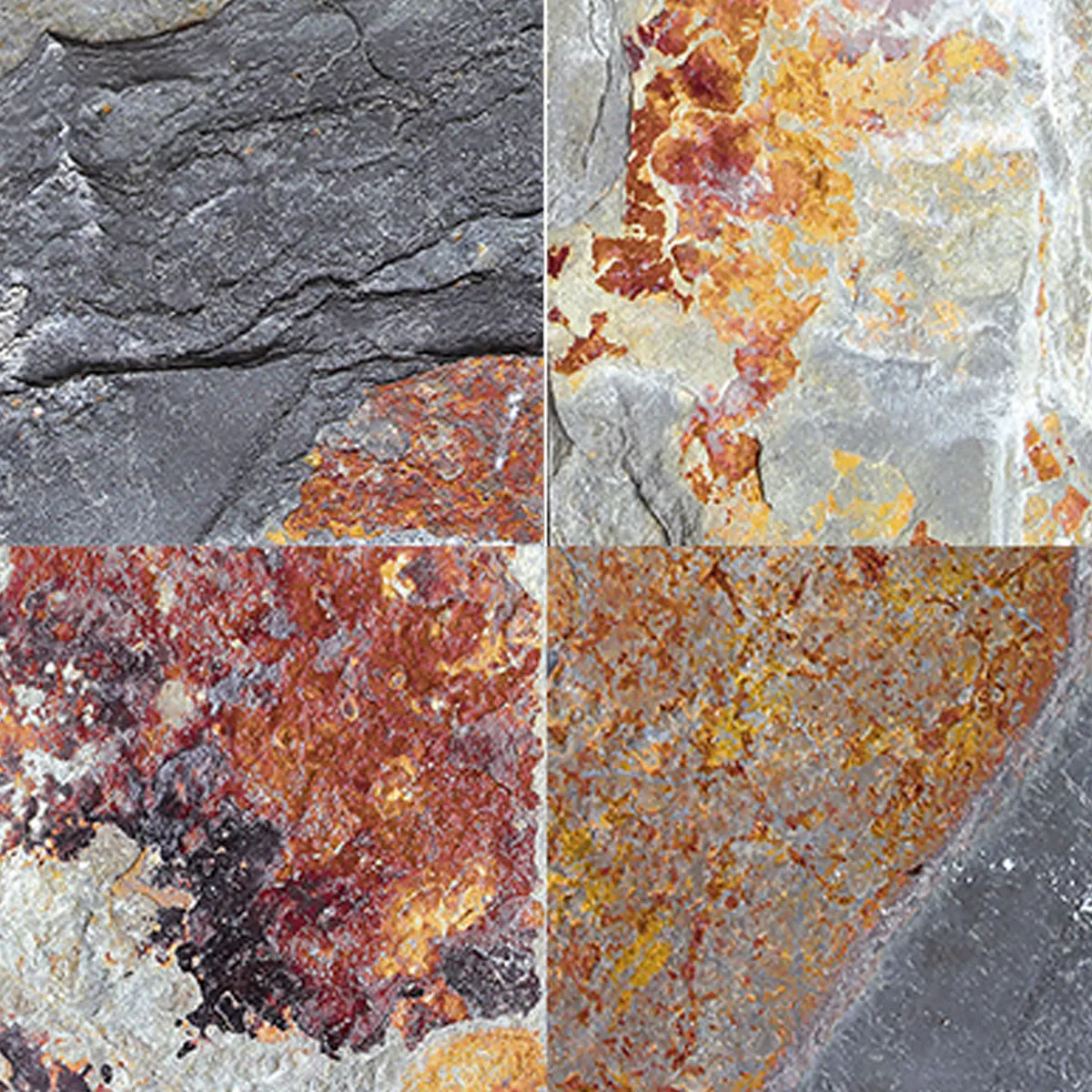 Grès Cérame Pleine Masse Piscine Carrelage Muskat 22,5x,22,5cm Grès Cérame Pleine Masse Piscine Carrelage Muskat 22,5x,22,5cm