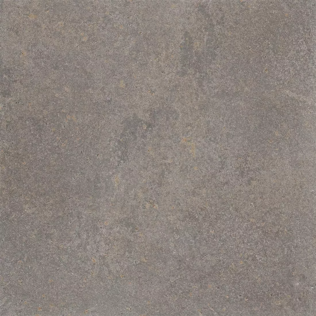 Carrelage Sol Et Mur Pierre Optique Horizon Brun 60x60cm Carrelage Sol Et Mur Pierre Optique Horizon Brun 60x60cm
