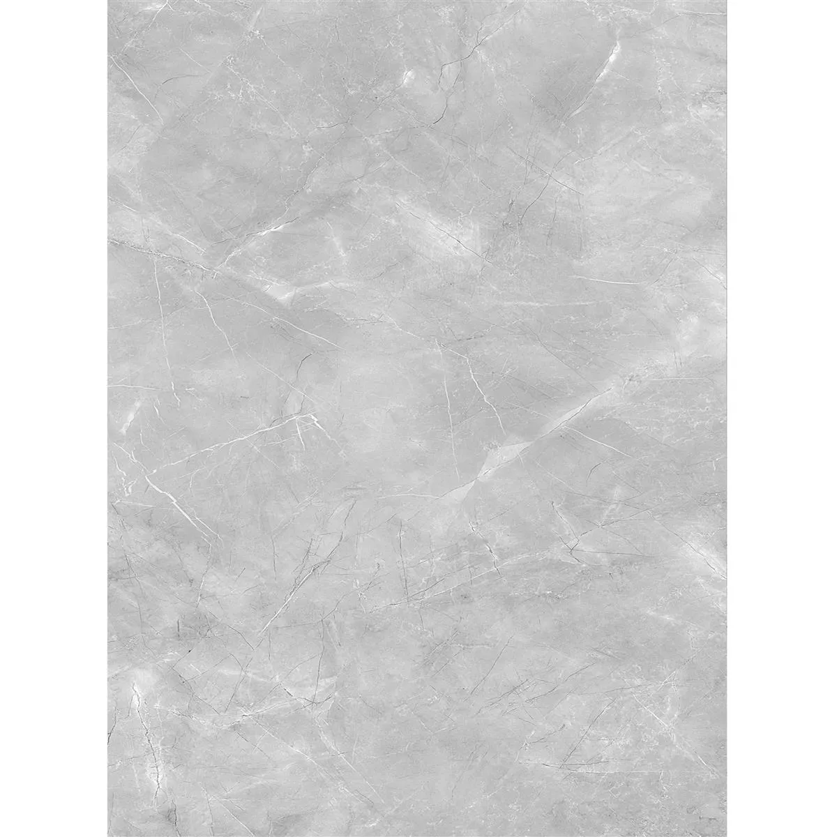 Angola Poli Brillant Gris 60x120 cm