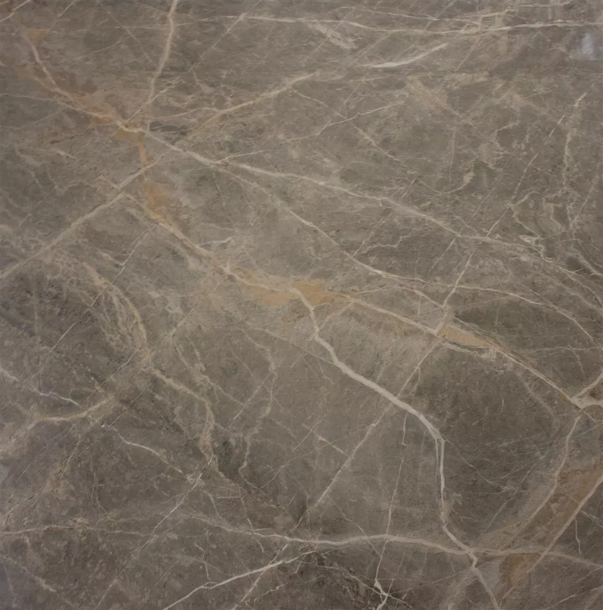 Carrelage Sol Et Mur Zeven Gris Beige Or Ardoise Optique 60x60cm