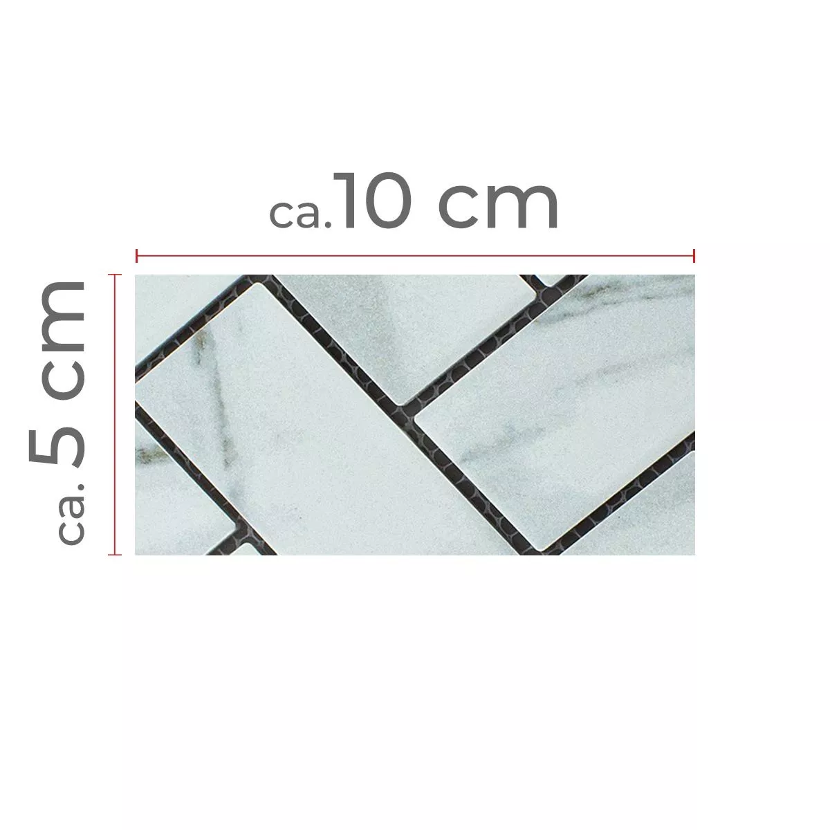 Échantillon Céramique Mosaïque Carrelage Fernley Arête Poisson Carrara Pierre Optique Carrara