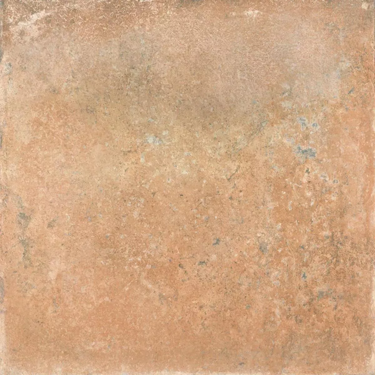 Queens Terre Cuite Brun 25x25 cm