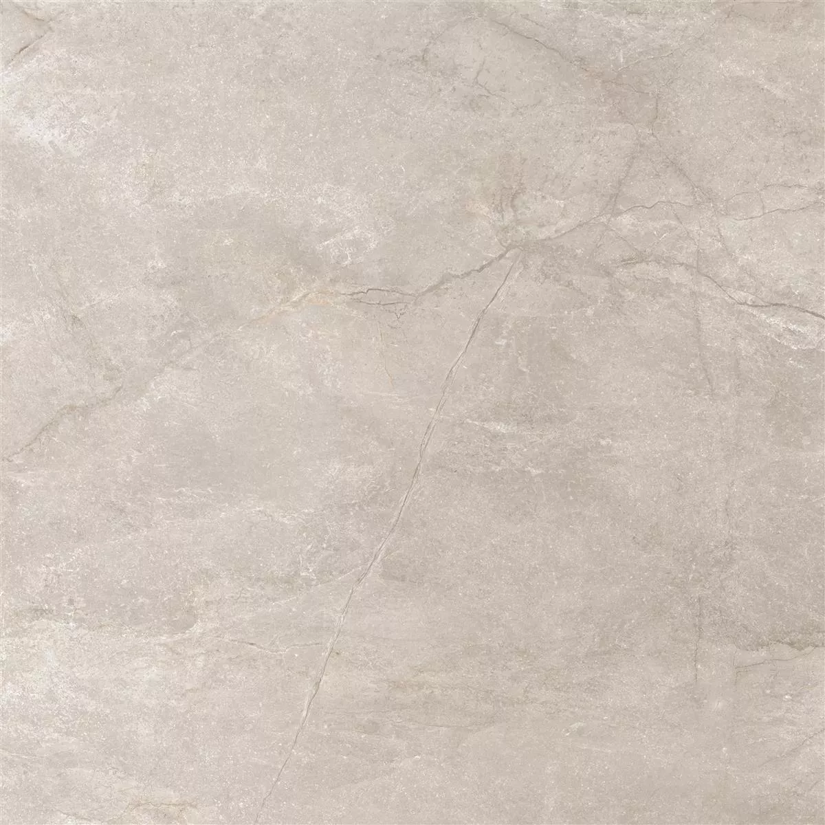 Carrelage Sol Et Mur Pangea Marbre Optique Mat Beige 60x60cm