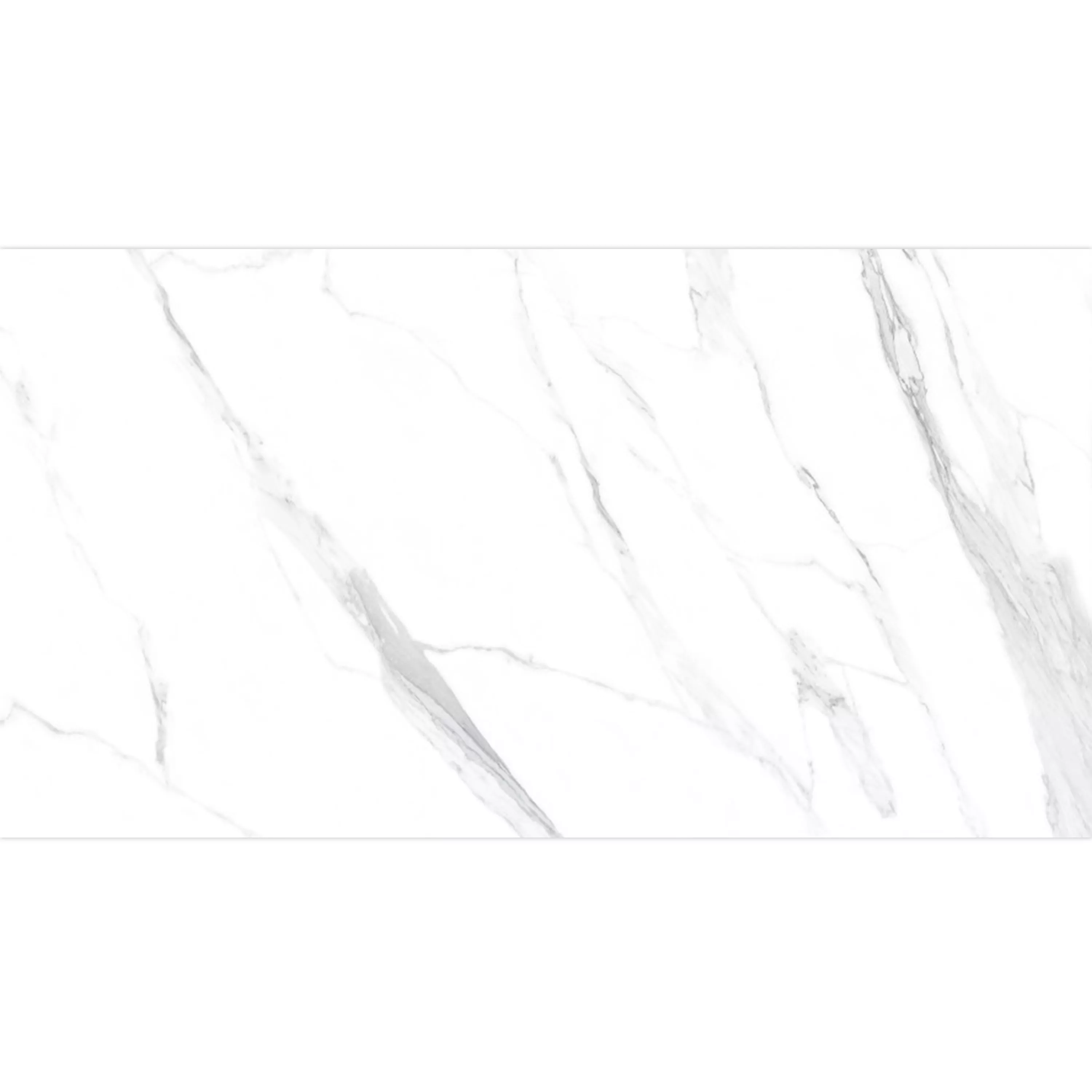Échantillon Carrelage Sol Et Mur Louisburg Statuario Blanc Mat Rectifié 30x60cm