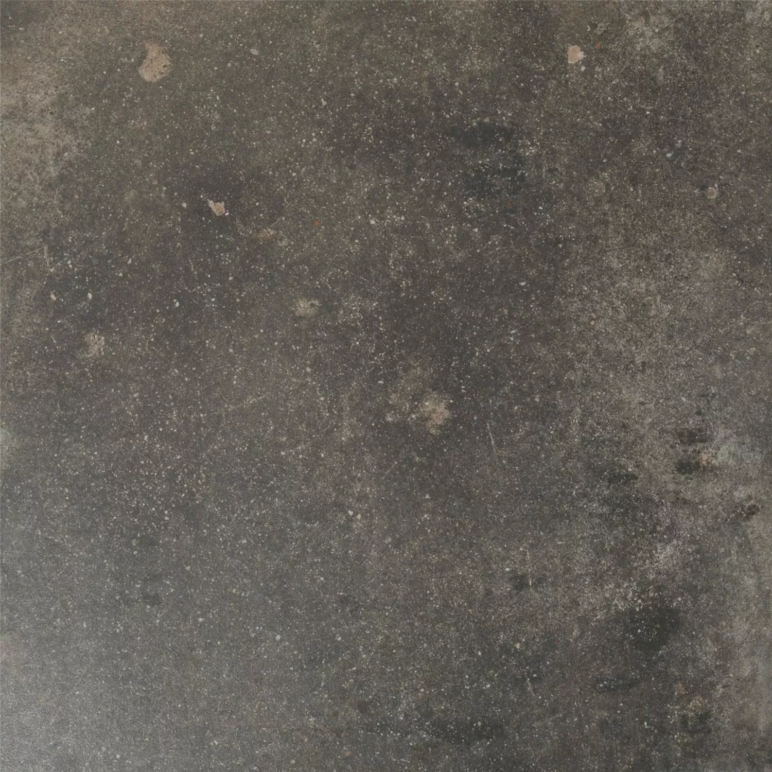 Échantillon Carrelage Sol Et Mur Casablanca Anthracite 60x60cm