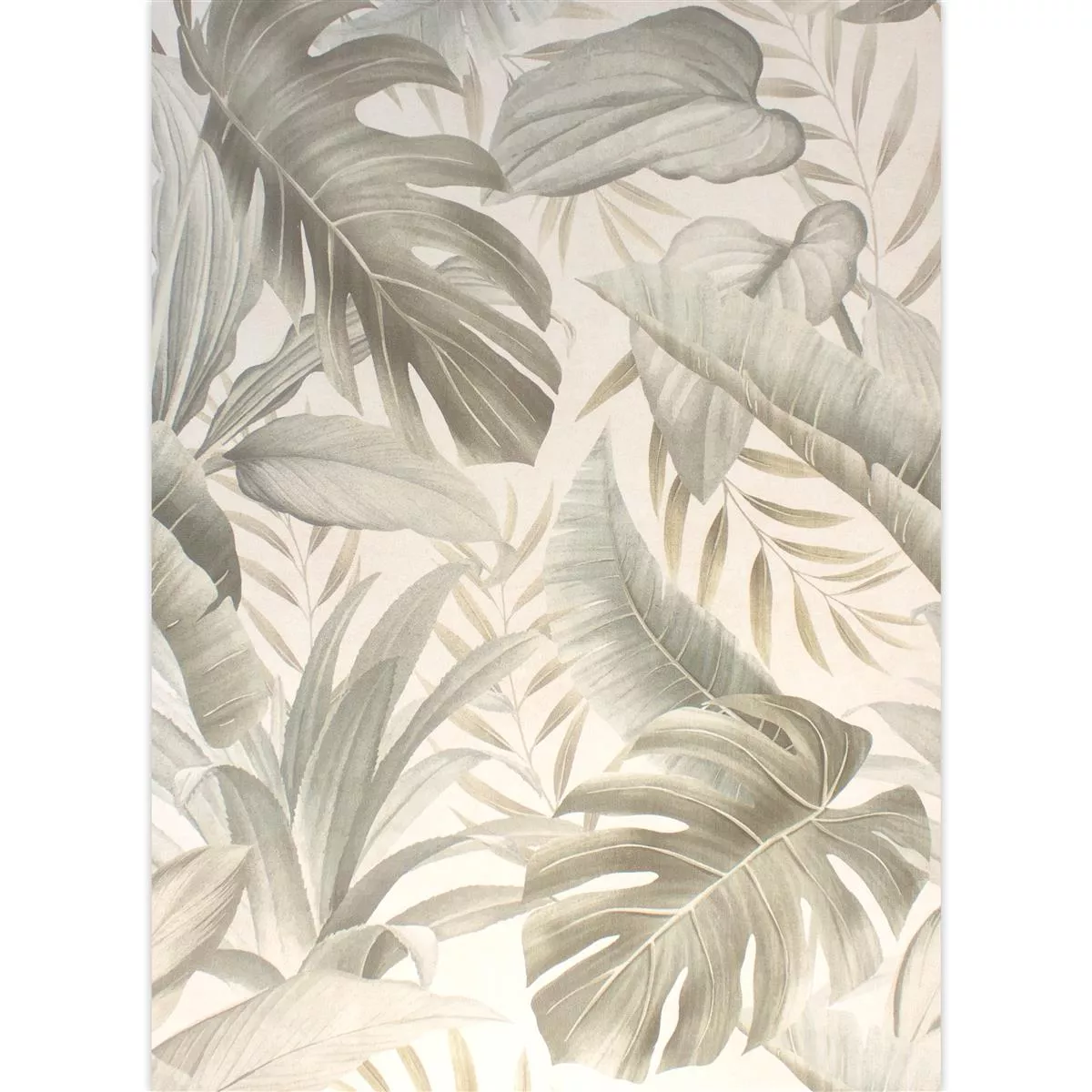 Carrelage Mural Honolulu Floral 60x120cm Ivoire