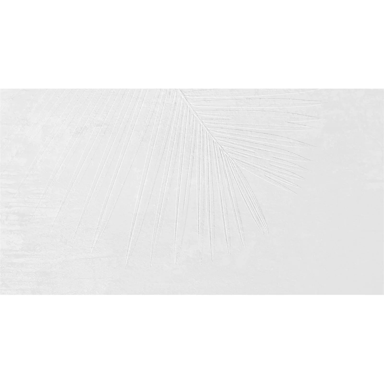 Carrelage Sol Et Mur Freeland Pierre Optique R10/B Blanc 60x60cm Décor